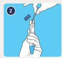 Collect and dilute the water sample