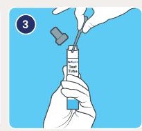 Transfer the prepared sample to the Test tube